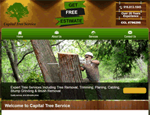 Tablet Screenshot of capitaltreeserviceco.com